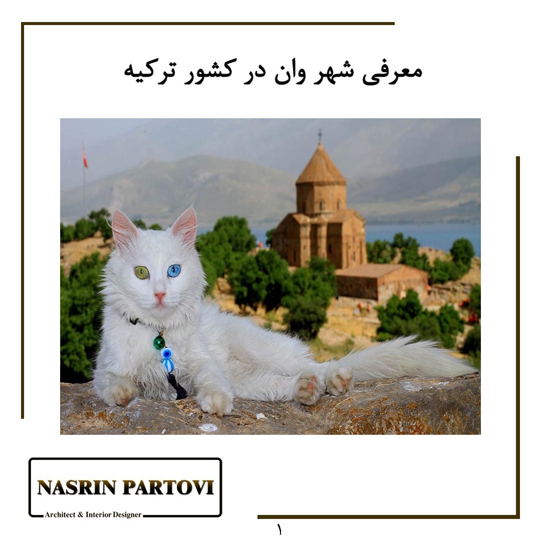 IMG-20190731-WA0068